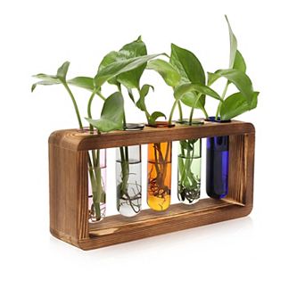 Glass Plant Propagation Station 5 Test Tubes Wooden Stand Vase Birthday Gift Women