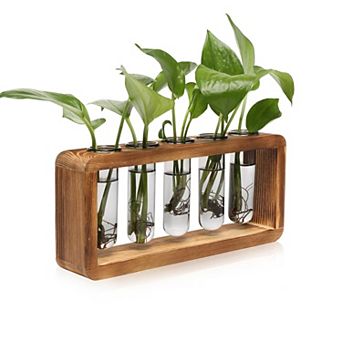 Glass Plant Propagation Station 5 Test Tubes Wooden Stand Vase Birthday Gift Women