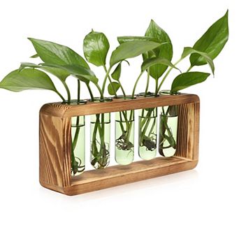 Glass Plant Propagation Station 5 Test Tubes Wooden Stand Vase Birthday Gift Women