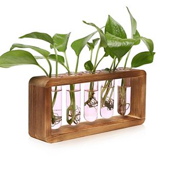 Glass Plant Propagation Station 5 Test Tubes Wooden Stand Vase Birthday Gift Women
