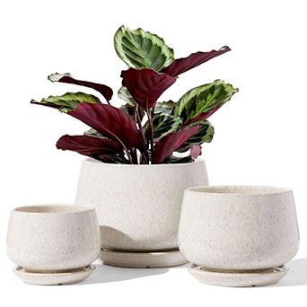 Plant Pots 4.1+5.1+6.5 Inch Set of 3 Ceramic Planters with Drainage Hole Saucer Indoor Outdoor