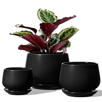 Plant Pots 4.1+5.1+6.5 Inch Set of 3 Ceramic Planters with Drainage Hole Saucer Indoor Outdoor