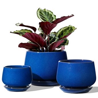 Plant Pots 4.1+5.1+6.5 Inch Set of 3 Ceramic Planters with Drainage Hole Saucer Indoor Outdoor