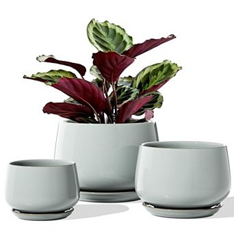 Plant Pots 4.1+5.1+6.5 Inch Set of 3 Ceramic Planters with Drainage Hole Saucer Indoor Outdoor