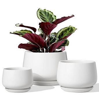 Plant Pots 4.1+5.1+6.5 Inch Set of 3 Ceramic Planters with Drainage Hole Saucer Indoor Outdoor