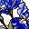 Blue Iris