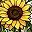 Yellow Flower