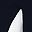 Navy And White