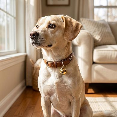 Adjustable Dog & Cat Collar with Paw Print Decoration and Bell Soft PU Leather