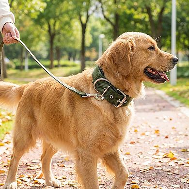 Padded Dog Collar Adjustable Nylon Pet Collar with Metal Buckle Soft Lining