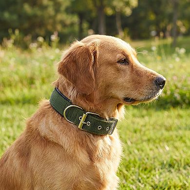 Padded Dog Collar Adjustable Nylon Pet Collar with Metal Buckle Soft Lining