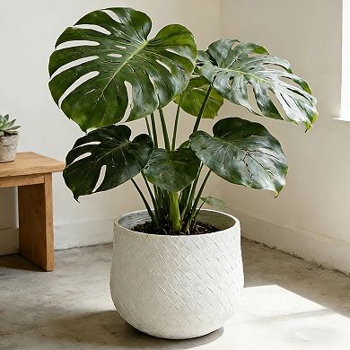 KWPZQEB White Weaving Pattern Planter Set of 3, Magnesium Oxide Round Planter with Drainage Hole