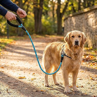 Pet Dog Leash Adjustable Nylon Rope with Comfortable Handle and Metal Clip for Small Medium Dogs