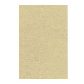 5x8 Feet Machine Washable Area Rugs for Living Room Bedroom, Soft Fluffy Rug for Home Decor