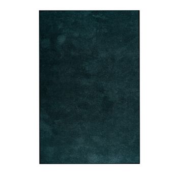 5x8 Feet Machine Washable Area Rugs for Living Room Bedroom, Soft Fluffy Rug for Home Decor
