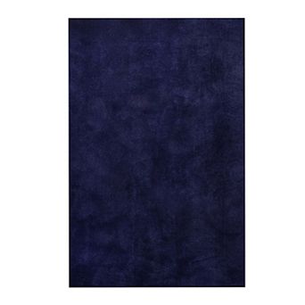 5x8 Feet Machine Washable Area Rugs for Living Room Bedroom, Soft Fluffy Rug for Home Decor