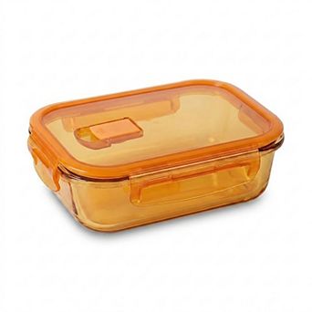 Divided Food Storage Container with Snap Lid and Sauce Compartment