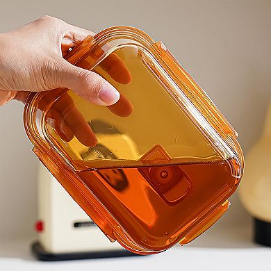 Divided Food Storage Container with Snap Lid and Sauce Compartment