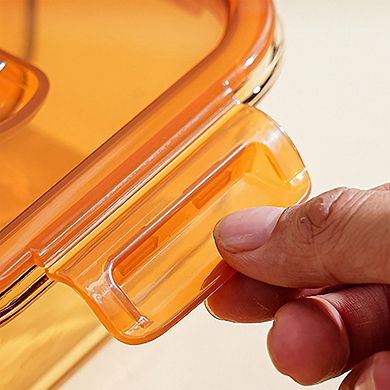 Divided Food Storage Container with Snap Lid and Sauce Compartment