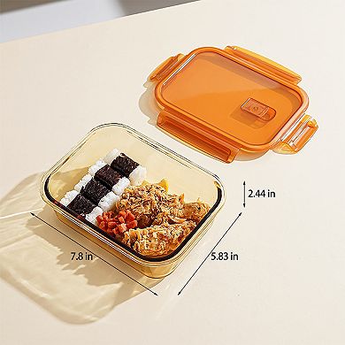 Divided Food Storage Container with Snap Lid and Sauce Compartment