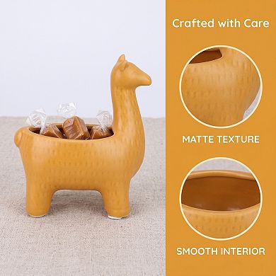 Alpaca Decorative Bowl Ceramic Llama Jewelry Dish and Key Holder for Entryway