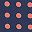 Navy Blue Coral