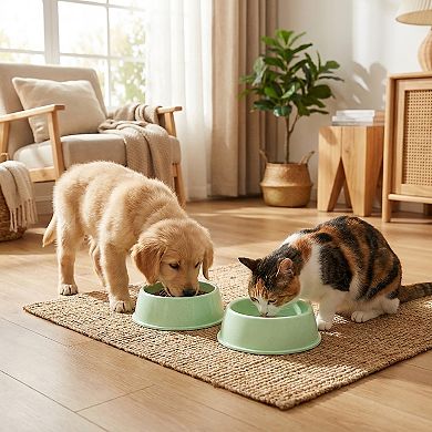 Plastic Pet Food Bowl with Rounded Rim for Cats and Dogs
