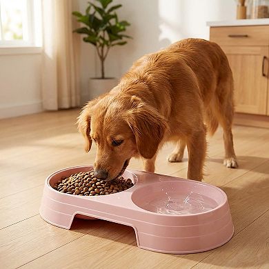 Plastic Double Pet Bowl with Raised Base for Food and Water