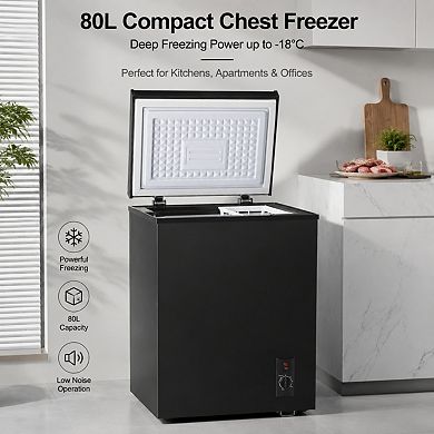 Loheer Chest Freezer - 80L Compact Deep Freezer for Home, Foaming door