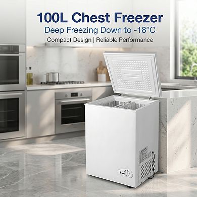 Loheer 100L Freezer With Basket - Compact Deep Freezer for Home