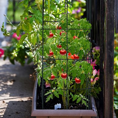 Garden Trellis 4 Pack Tomato Cage Plant Support for Climbing Plants
