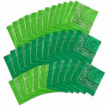 Live2Pedal 30 Bulk Paisley Bandanas Unisex Cowboy Head Wrap Scarf Handkerchief Multi Use