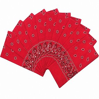 Live2Pedal 10 Pack Cotton Bandanas Thick Colorfast Full Size Machine Washable