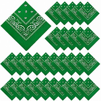 Live2Pedal 30 pc Paisley Bandanas Unisex Multi-purpose Cowboy Headbands Square Scarf Head Wrap