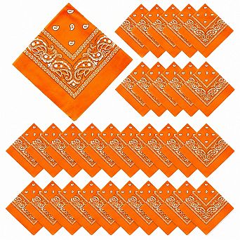 Live2Pedal 30 pc Paisley Bandanas Unisex Multi-purpose Cowboy Headbands Square Scarf Head Wrap