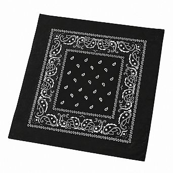 Live2Pedal 12 pc Cotton Bandanas Paisley Pattern 22x22 in Multicolor Headband Necktie
