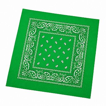 Live2Pedal 12 pc Cotton Bandanas Paisley Pattern 22x22 in Multicolor Headband Necktie