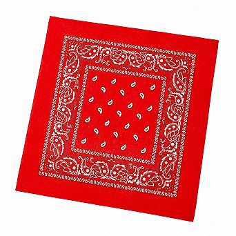 Live2Pedal 12 pc Cotton Bandanas Paisley Pattern 22x22 in Multicolor Headband Necktie