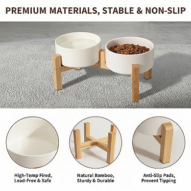 Raised Double Dog Feeding Bowls for Small Medium Dogs
