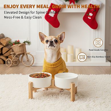 Raised Double Dog Feeding Bowls for Small Medium Dogs