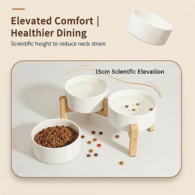 Raised Double Dog Feeding Bowls for Small Medium Dogs
