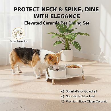 Elevated Ceramic Dog Bowl Set Double with Stand Splash Proof