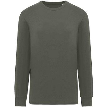Native Spirit Unisex Adult Spirit Long-Sleeved T-Shirt