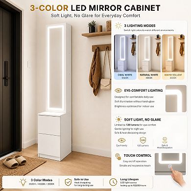 Lufeiya 63 In LED Full Length Mirror Dressing Cabinet with 3 Color Lights Adjustable Brightness