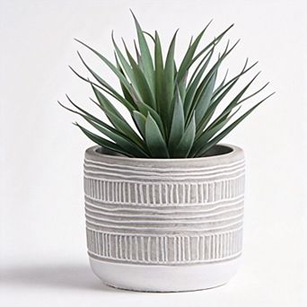 8" Farmhouse Artificial Succulent Desk Shelf Decor
