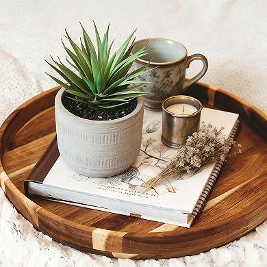 8" Farmhouse Artificial Succulent Desk Shelf Decor