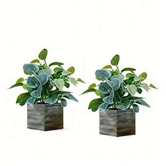 4" Wood Pot Eucalyptus Desktop Home Decor
