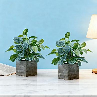 4" Wood Pot Eucalyptus Desktop Home Decor