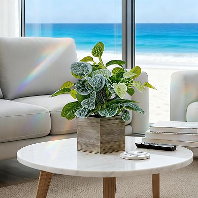 4" Wood Pot Eucalyptus Desktop Home Decor