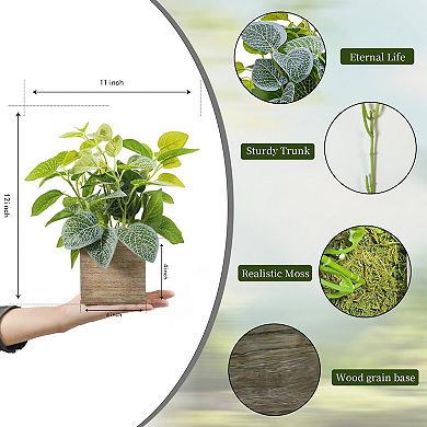 4" Wood Pot Eucalyptus Desktop Home Decor